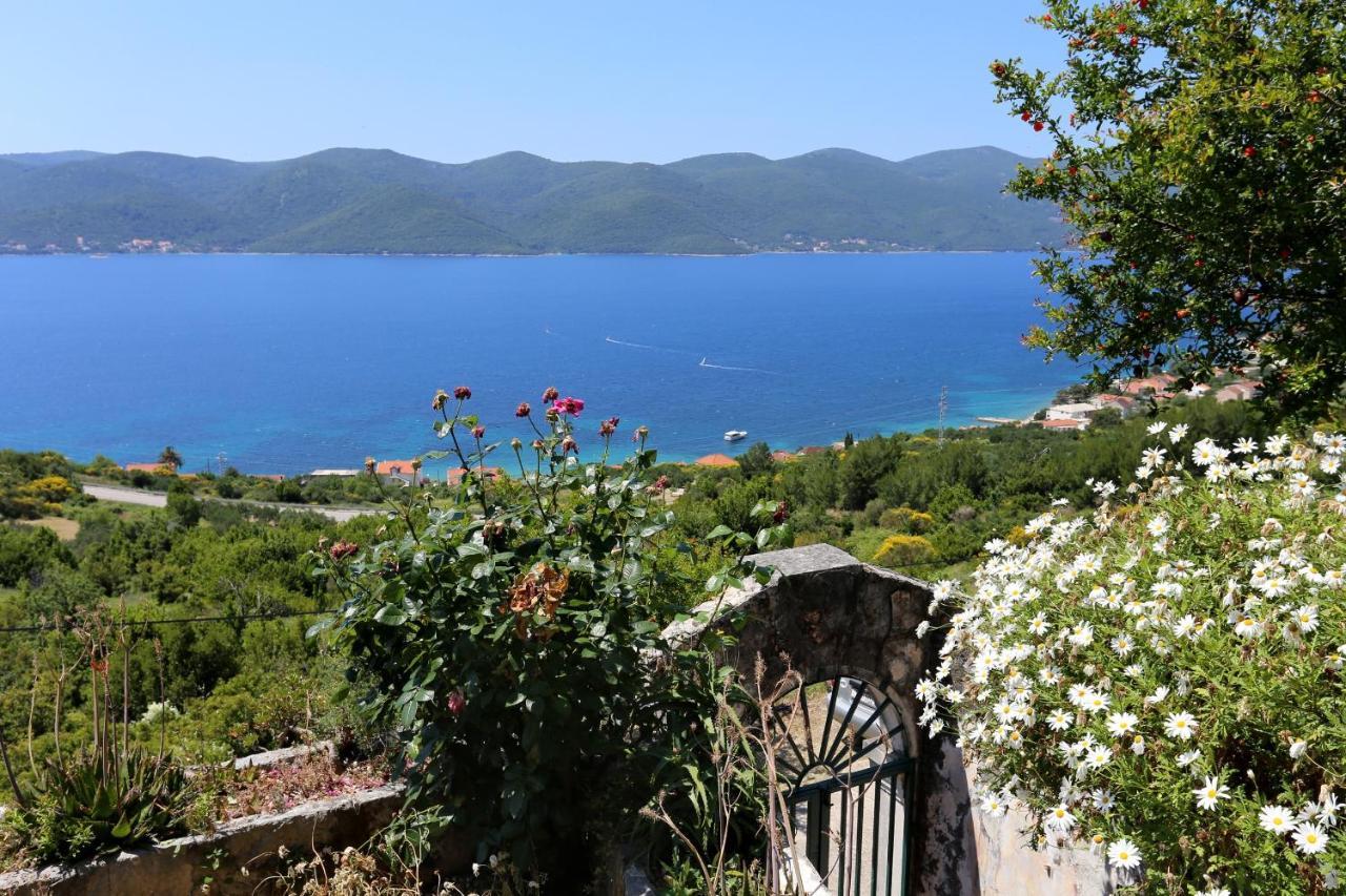 Holiday House With A Parking Space Viganj - Podac, Peljesac - 10141 Kültér fotó